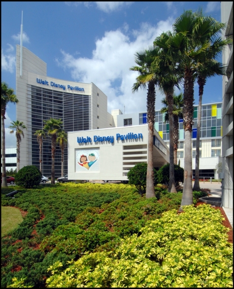 Walt Disney Pavilion
